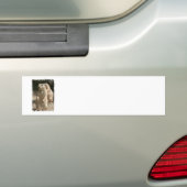Prairie Dog Foto Bumpersticker (Op auto)