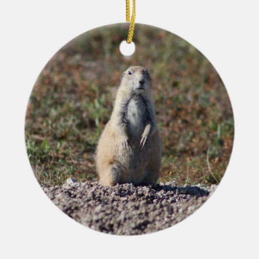 Prairie Dog in Badlands National Park, Interior SD Keramisch Ornament (Voorkant)