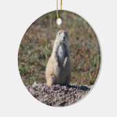 Prairie Dog in Badlands National Park, Interior SD Keramisch Ornament (Links)
