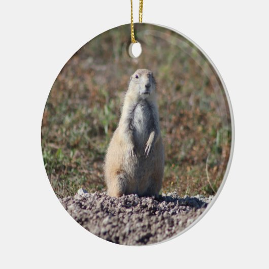 Prairie Dog in Badlands National Park, Interior SD Keramisch Ornament (Links)