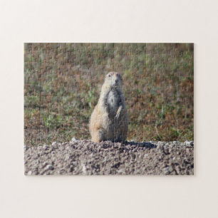 Prairie Dog in Badlands National Park, Interior SD Legpuzzel