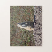 Prairie Dog in Badlands National Park, Interior SD Legpuzzel (Verticaal)