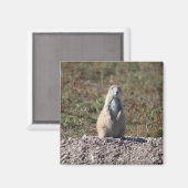 Prairie Dog in Badlands National Park, Interior SD Magneet (Voorkant / Achterkant)