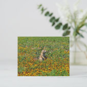 Prairie Dog in Flowers Briefkaart (Staand voorkant)