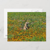 Prairie Dog in Flowers Briefkaart (Voorkant / Achterkant)