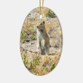 Prairie Dog in Yosemite, CA Keramisch Ornament (Links)