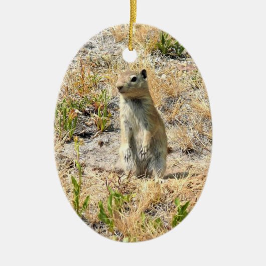 Prairie Dog in Yosemite, CA Keramisch Ornament (Voorkant)