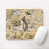 Prairie Dog in Yosemite, CA Muismat (Met muis)