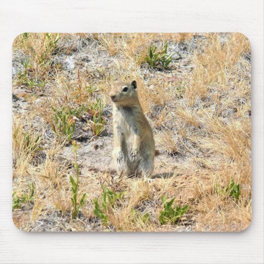 Prairie Dog in Yosemite, CA Muismat (Voorkant)