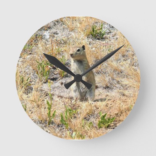 Prairie Dog in Yosemite, CA Ronde Klok (Voorkant)