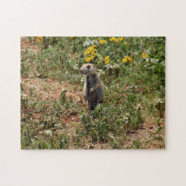 Prairie Dog Legpuzzel
