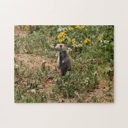 Prairie Dog Legpuzzel (Horizontaal)