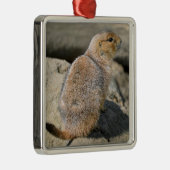 Prairie Dog met zwarte staart Metalen Ornament (Rechts)