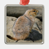 Prairie Dog met zwarte staart Metalen Ornament (Voorkant)