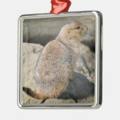 Prairie Dog met zwarte staart Metalen Ornament (Links)