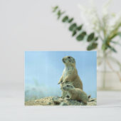 Prairie Dog moeder en Baby Briefkaart (Staand voorkant)