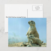 Prairie Dog moeder en Baby Briefkaart (Voorkant / Achterkant)