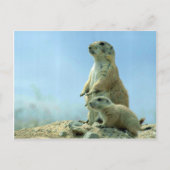 Prairie Dog moeder en Baby Briefkaart (Voorkant)