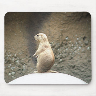 Prairie Dog Muismat