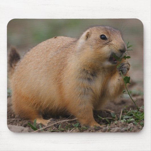 Prairie Dog Muismat (Voorkant)