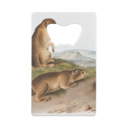 Prairie Dog of Prairie marmot squirrel Camping Creditkaart Flessenopener (Achterkant)