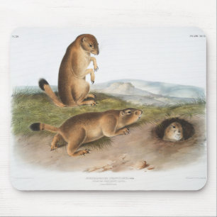 Prairie Dog of Prairie marmot squirrel Camping Muismat