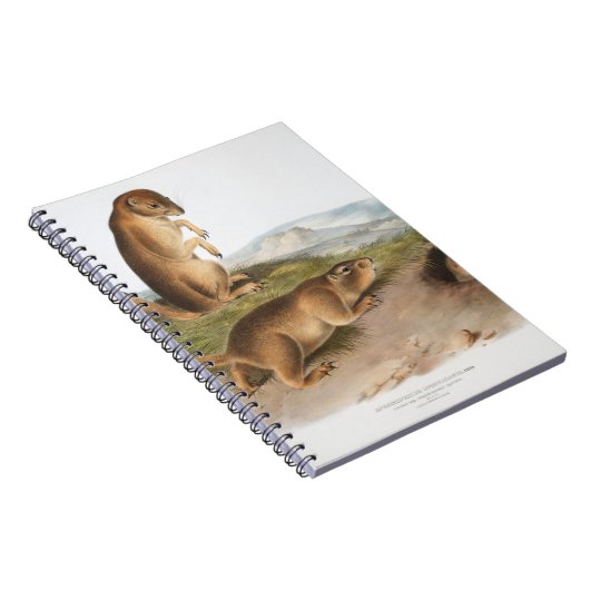 Prairie Dog of Prairie marmot squirrel Camping Notitieboek (Rechterzijde)