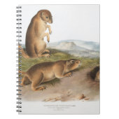 Prairie Dog of Prairie marmot squirrel Camping Notitieboek (Voorkant)