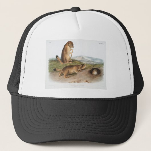 Prairie Dog of Prairie marmot squirrel Camping Trucker Pet (Voorkant)