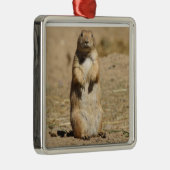 Prairie Dog Ornament (Rechts)