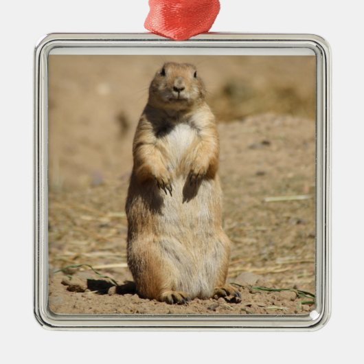 Prairie Dog Ornament (Voorkant)