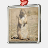 Prairie Dog Ornament (Links)