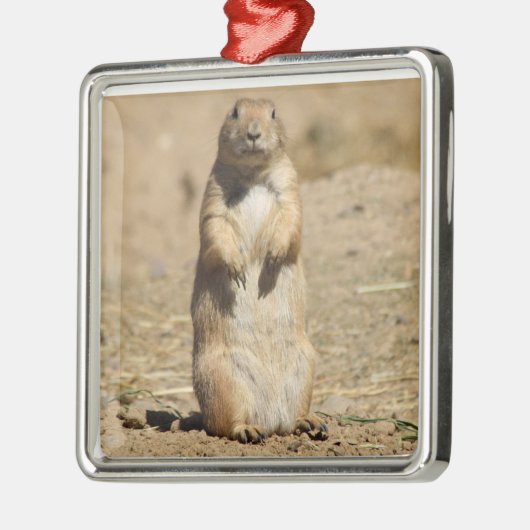 Prairie Dog Ornament (Links)