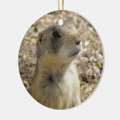 Prairie Dog Ornament (Links)