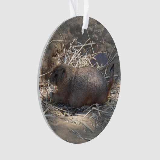 Prairie Dog # Ornament met zwarte staart (voorkant)