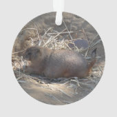 Prairie Dog # Ornament met zwarte staart (achterkant)