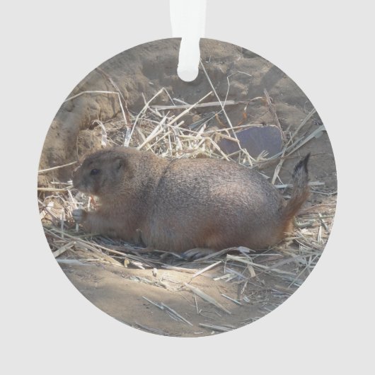 Prairie Dog # Ornament met zwarte staart (achterkant)