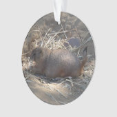 Prairie Dog # Ornament met zwarte staart (voorkant)