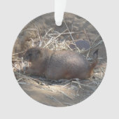 Prairie Dog # Ornament met zwarte staart (voorkant)