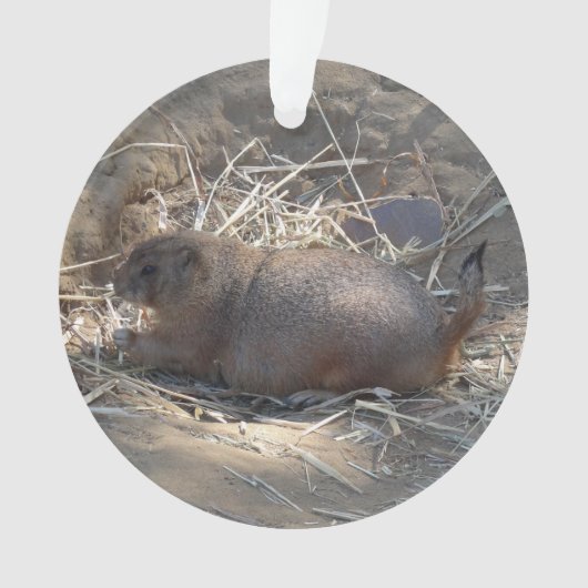 Prairie Dog # Ornament met zwarte staart (voorkant)