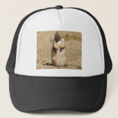 Prairie Dog Pet (Voorkant)