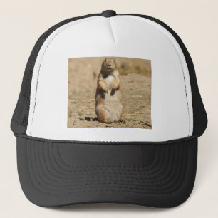 Prairie Dog Pet
