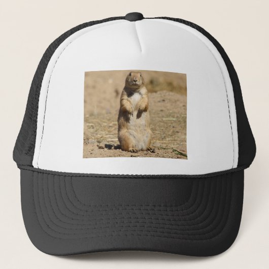 Prairie Dog Pet (Voorkant)