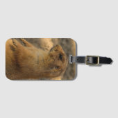 Prairie Dog Photo Bagagelabel (Voorkant (horizontaal))