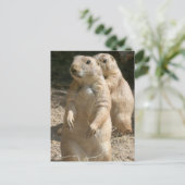 Prairie Dog Photo Briefkaart (Staand voorkant)