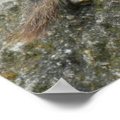 Prairie Dog Poster (Hoek)