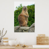 Prairie Dog Poster (Keuken)