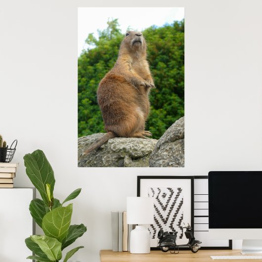 Prairie Dog Poster (Thuiskantoor)