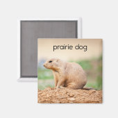 Prairie Dog Refkoelkast Magnet (Voorkant / Achterkant)