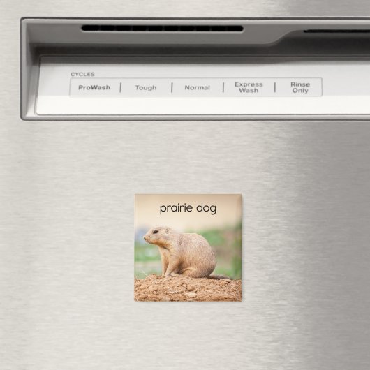Prairie Dog Refkoelkast Magnet (Insitu (Vaatwasser))
